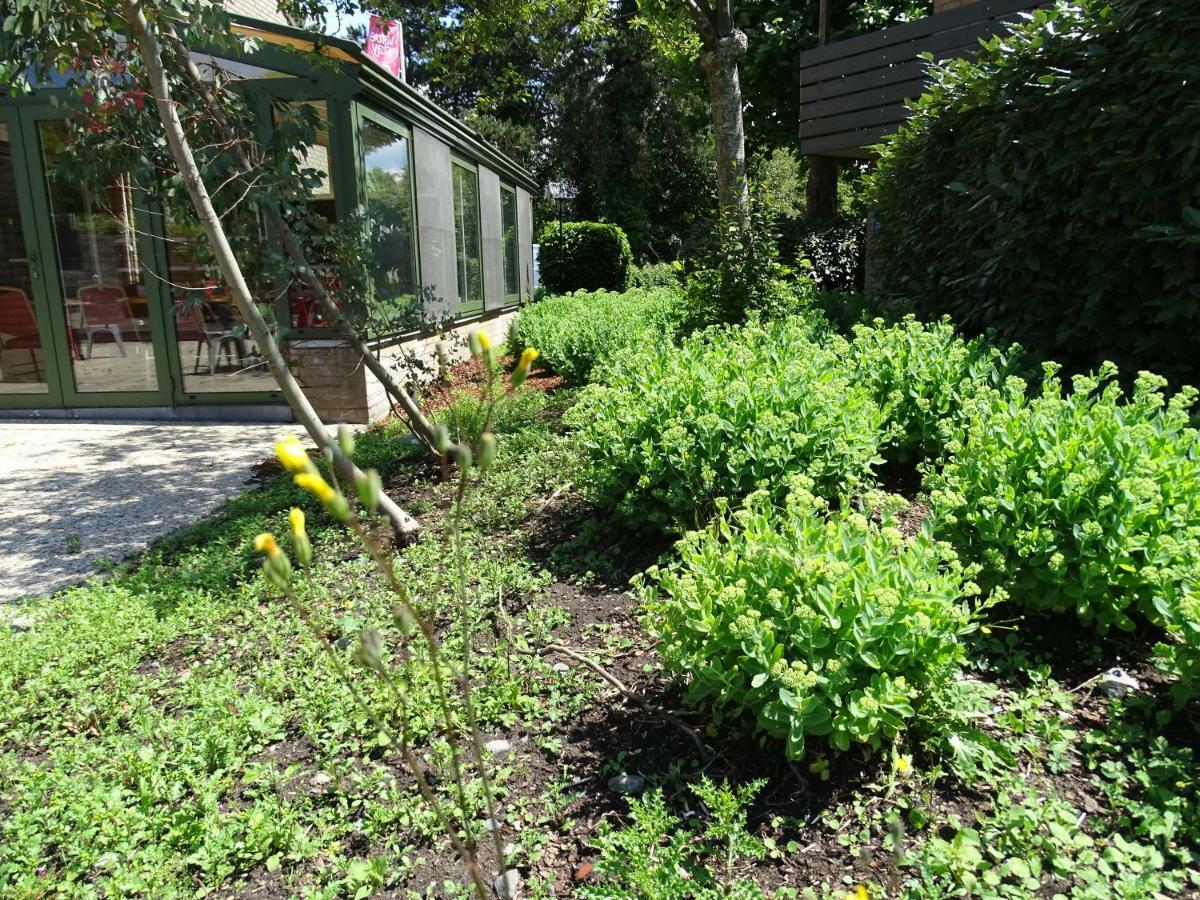 布鲁日超值住宿宾馆 外观 照片